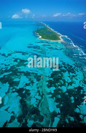 Luftaufnahme der Contoy Insel aus dem Süden, Contoy Island National Park, Mesoamerican Reef System, in der Nähe von Cancun, Karibik, Mexiko, Januar Stockfoto