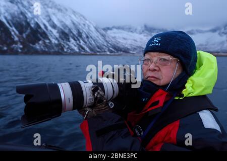 Walbeobachter mit Kamera, in der Nähe von Senja, Troms County, Norwegen, Skandinavien, Januar 2015. Wale werden in dieses Gebiet gezogen, um sich von der riesigen Popul zu ernähren Stockfoto