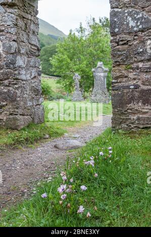 Pfad mit Gräbern in der Ruine der Balquhidder Parish Church, Schottland Stockfoto