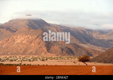 Marienfluss Tal während der trockenen Jahreszeit, Kaokoland, an der Grenze, die Berge sind Angola, Kunene Region, Namibia, Afrika Stockfoto