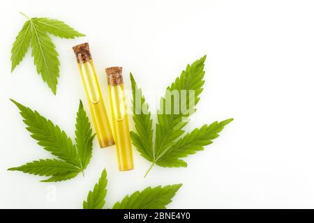 CBD-Öl auf hellem Hintergrund. Medizinisches Marihuana cbd-Öl. Flach liegend, Draufsicht Stockfoto