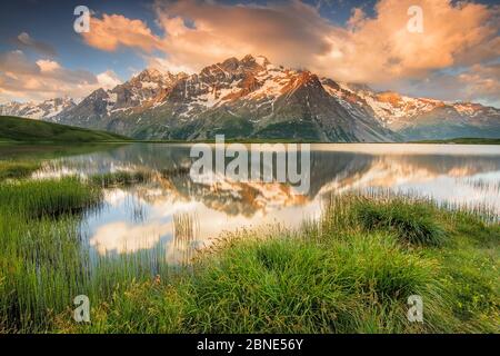 Blick auf La Meije, mit Lac du Pontet im Vordergrund, Nationalpark Ecrins, Savoie, Frankreich, Juni 2014. Stockfoto