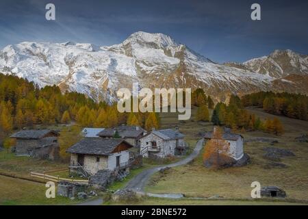 Blick auf den Mont Pourri, mit Bauernhäusern und europäischen Lärchen (Larix decidua) im Vordergrund, Le Monal Vanoise Nationalpark, Savoie, Frankreich Stockfoto