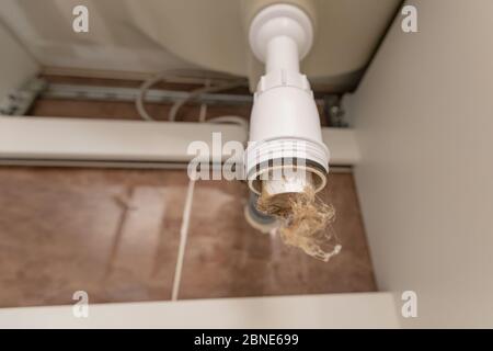 Professionelle männliche Klempner beseitigt Verstopfung in Siphon der Spüle Ablaufrohr Stockfoto