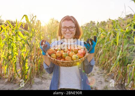 Nahaufnahme Ernte von reifen Bauernhof Bio-rote Tomaten in Korb in Händen der Frau Stockfoto