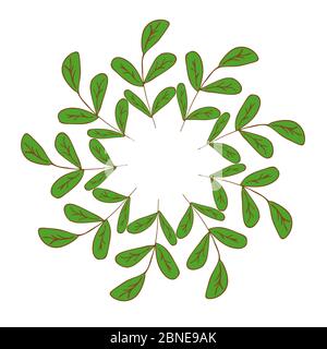 Rahmen aus grünen Zweigen für Hervorhebungen auf einem weißen Hintergrund Vektorgrafik. Sommer- oder Frühlingsblätter. Runde Form Stock Vektor