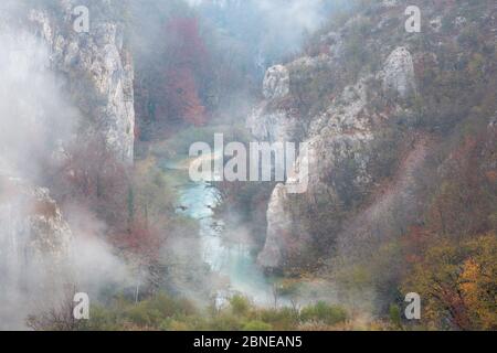 Misty Kalkstein Schlucht, Nationalpark Plitvicer Seen, Kroatien. November. Stockfoto