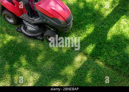 Top-down-Ansicht über dem professionellen Rasenmäher Arbeiter Schneiden frisches grünes Gras mit Landcaping Traktor Ausrüstung Maschine. Garten und Hinterhof Stockfoto