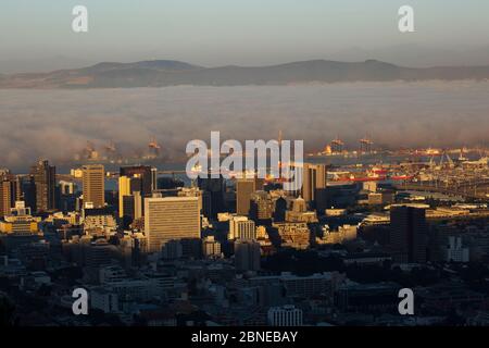 Meer Nebel über der Stadt Kapstadt, von Lions Head, Südafrika Stockfoto