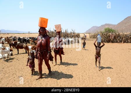 Himba Frauen und Kinder, die vom Wasserpunkt zurückkehren, tragen PlastikDose voll Wasser auf ihrem Kopf. Marienfluss Valley, Kaokoland Desert, Namibia. Stockfoto