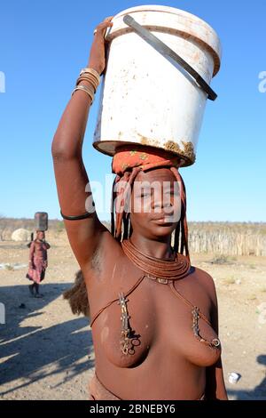 Himba Frau, die vom Wasserpunkt zurückkehrt und Plastikkanne voller Wasser für ihre Familie trägt, Marienfluss Valley, Kaokoland Desert, Namibia. Oktobes Stockfoto