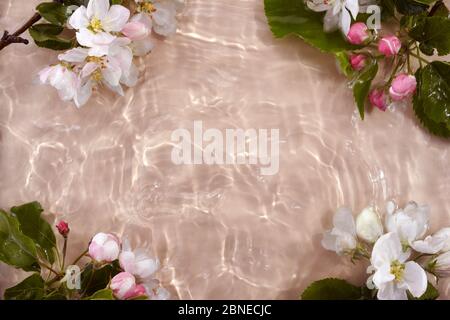 Blumen in Wellenwasser für kosmetisches Design. Naturkonzept. Beauty, Spa Konzept. Draufsicht Stockfoto