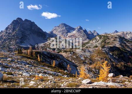 Blick auf Corteo Peak und Schwarze Spitze, Ahorn Pass Loop, North Cascades National Park, Washington, USA. Oktober 2015. Stockfoto