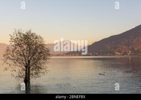 Sonnenuntergang über dem ruhigen Wasser des Iseo-Sees, italienische Seenlandschaft Stockfoto