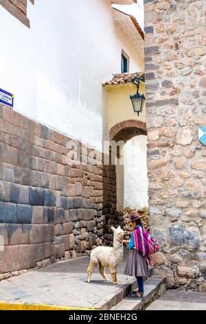 Peruanische Frau in traditioneller Kleidung mit Alpaka in Cusco, Heiliges Tal, Peru Stockfoto