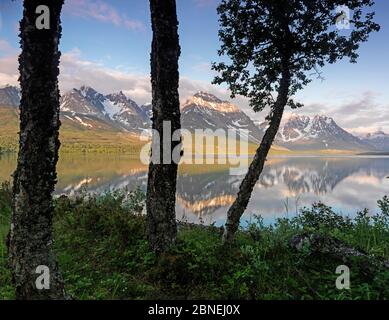 Berge im Jaegervatnet See zwischen den Bäumen, Troms, Nordnorwegen, Juni 2013 gesehen. Stockfoto