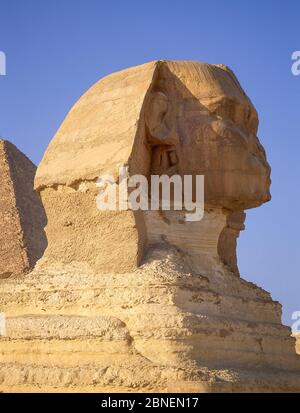 Die große Sphinx von Gizeh, Gizeh, Gizeh Regierung, Republik Ägypten Stockfoto