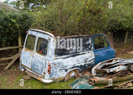 Verlassene rostigen alten Van mit Baum wächst durch sie auf einem Bauernhof in Herefordshire, Großbritannien Stockfoto