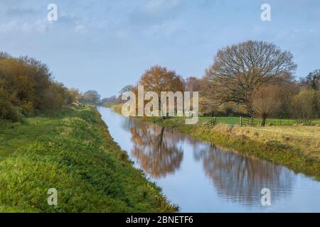 Ruhige Szene entlang des Wasserkanals im Avalon Marshes in den Somerset Levels, Großbritannien Stockfoto