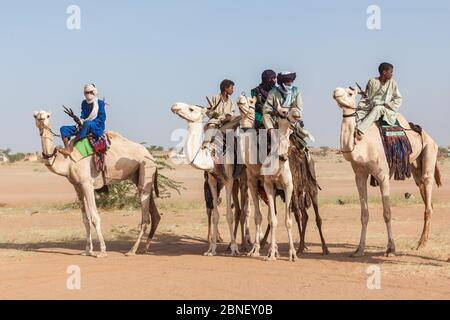 Ingall, Nige Curee Sale festivalr: tuareg Menschen in traditioneller Kleidung sitzen auf Kamelen in der Wüste Stockfoto