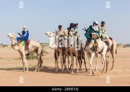 Ingall, Nige Curee Sale festivalr: tuareg Menschen in traditioneller Kleidung sitzen auf Kamelen in der Wüste Stockfoto