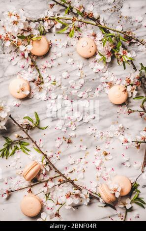 Süße Makaronkeks und weiße Frühlingsblüten, Kopierraum Stockfoto