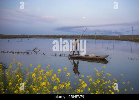 Ein Aquakulturbauer erntet Krebse, die zusammen mit Reis wachsen und hilft lokalen Bauern, die Armut zu beseitigen, auf einem Bauernhof in Sihong County, Suqian CI Stockfoto