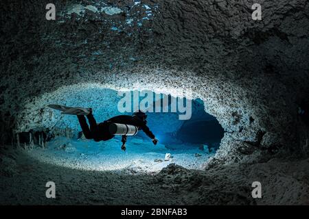 Ein Taucher in einem Cenote in Quintana Roo, Mexiko. Stockfoto