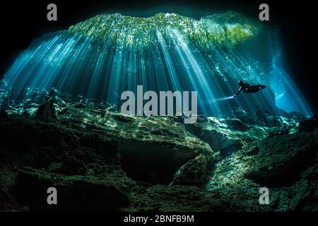 Ein Taucher in Sonnenstrahlen in einem Cenote in Quintana Roo, Mexiko. Stockfoto