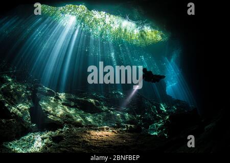 Ein Taucher in Sonnenstrahlen in einem Cenote in Quintana Roo, Mexiko. Stockfoto