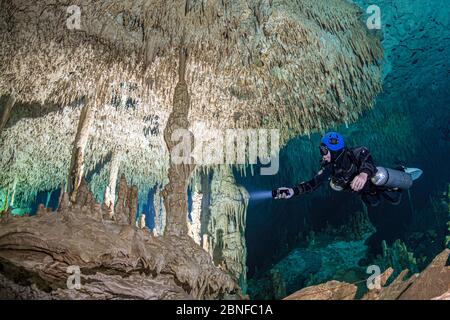 Ein Taucher in einem Cenote in Quintana Roo, Mexiko. Stockfoto