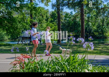 Menschen und Hunde auf dem Weg in Audubon Park, New Orleans, Louisiana Stockfoto