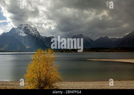 WY04300-00...WYOMING - Blick auf die Tetons vom Hermitage Point auf Jackson Lake im Grand Teton National Park. Stockfoto