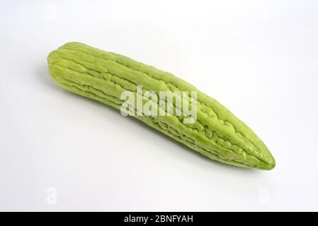 Bittermelone auf weißem Hintergrund. Stockfoto