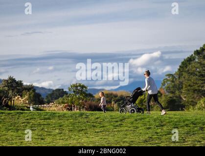 Peking, Neuseeland. Mai 2020. Menschen gehen in einem Park in Wellington, Neuseeland, 14. Mai 2020. Neuseeland meldete am Donnerstag drei aufeinander folgende Tage lang keine neuen COVID-19-Fälle, da das Land Mittwoch Mitternacht auf die Alarmstufe 2 herunterzog, um die Wirtschaft wieder in Gang zu bringen. Kredit: Guo Lei/Xinhua/Alamy Live News Stockfoto