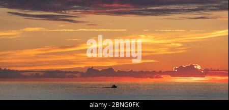 Schöner orange-gelber Sonnenuntergang mit einem kleinen Boot, das vor der Küste der Insel Cozumel in Mexiko segelt Stockfoto