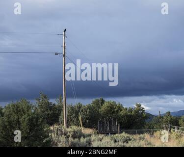 Taos, New Mexico - EIN Solo-Vogel, Krähe auf der Spitze der Stange thront Stockfoto