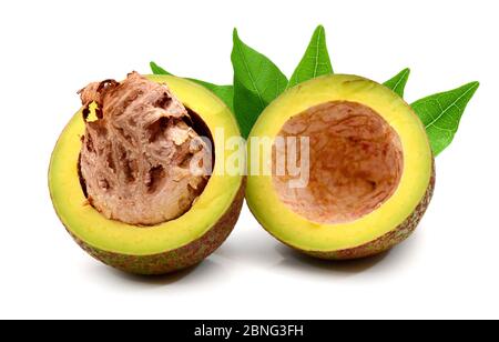 Frische Avocados zwei ganze und eine halbierte isoliert auf weiß Stockfoto