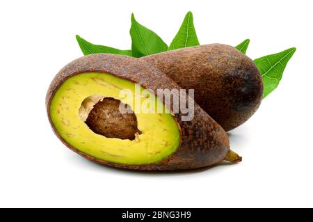 Avocado Frucht geschnitten auf halb isoliert auf weißem Hintergrund Stockfoto