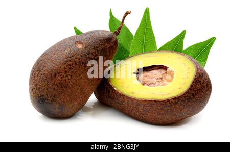 Frische Avocados zwei ganze und eine halbierte isoliert auf weiß Stockfoto