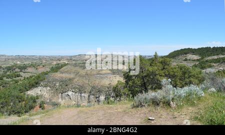 Spätsfrühling in North Dakota: Blick nach Nordosten in Richtung Buck Hill von Badlands Aussichtspunkt in der Theodore Roosevelt National Park South Unit Stockfoto