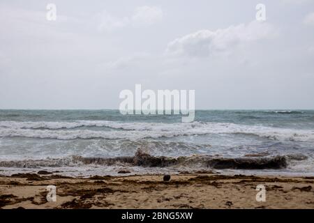 Schlechtes Wetter. Sturmwellen auf See an der tropischen sandigen Küste Stockfoto