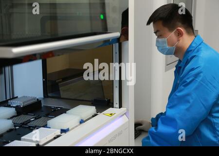 Peking, Serbien. April 2020. Ein Experte des chinesischen Biotech-Unternehmens BGI Group testet ein automatisiertes Probenaufbereitungssystem im Fire Eye Lab in Belgrad, Serbien, 20. April 2020. ZU DEN XINHUA SCHLAGZEILEN VOM 15. MAI 2020 Quelle: Shi Zhongyu/Xinhua/Alamy Live News Stockfoto