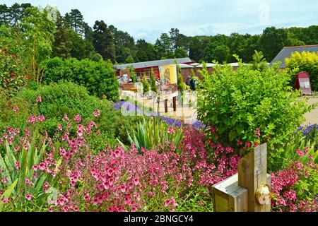 Eingang und Besucherzentrum in Batsford Arboretum, Moreton-in-Marsh, Cotswolds, Gloucestershire, Großbritannien Stockfoto