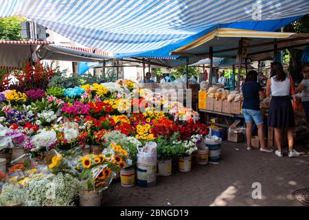 Schnittblumen auf dem Bauernmarkt auf dem Nossa Senhora da Paz Platz in Ipanema, Rio de Janeiro - Brasilien Stockfoto