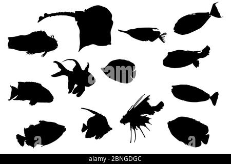 Set von Fischen Silhouetten isoliert auf weißem Hintergrund. Kollektion Formen von tropischen Aquarienfischen verschiedener Arten. Abbildung des Vektorgrafiken Stock Vektor