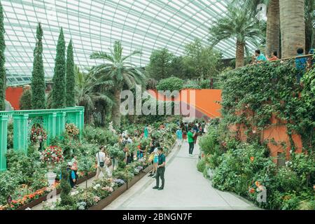 Singapore City, SINGAPORE : Juni 2019 : der Flower Dome ist das größte Gewächshaus der Welt, neben dem Cloud Forest in Gardens by the Bay att Stockfoto