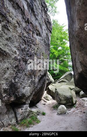 Sandsteinfelsen Beim "Kuhstall" in der Nähe von Bad Schandau Stockfoto