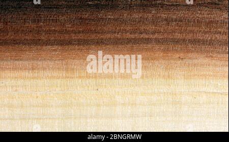 Alte Holz Hintergrund Stockfoto