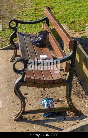 Northampton, Großbritannien, 15. Mai 2020. Müll in Sicht eines 50 Meter entfernten Mülltonnen wird heute Morgen auf einer Bank im Abington Park zurückgelassen, da die Beschränkungen für den Covid-19 Viruse aufgehoben werden, kommen mehr Menschen in den Park und der Müll ist bereits auf dem Vorrat. Kredit: Keith J Smith./Alamy Live News Stockfoto